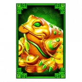 frog